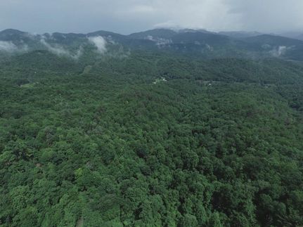 Property in Macon County, North Carolina