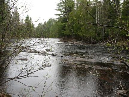 Hunting Land in Baraga County, Michigan