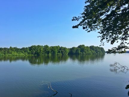 Undeveloped Land in Lowndes County, Alabama