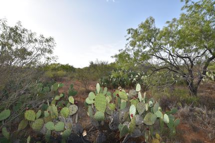 Farm Property in Dimmit County, Texas