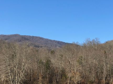 Property in Bell County, Kentucky