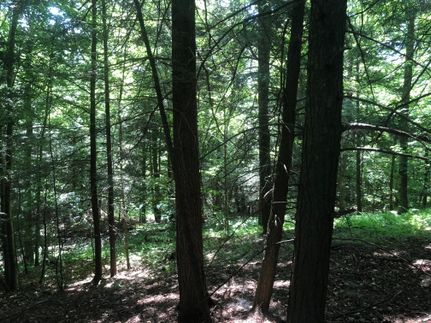 Farm Property in Chenango County, New York