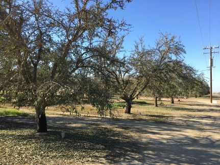 Farm Property in Kern County, California