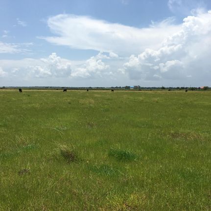 Farm Property in Hardee County, Florida