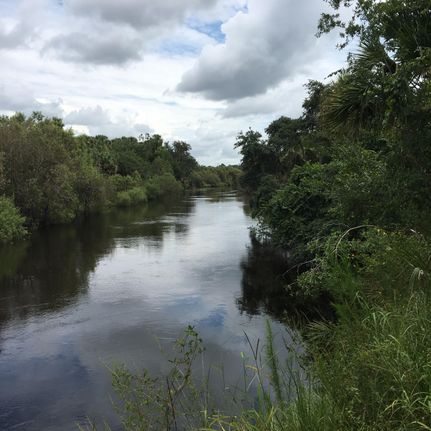 Waterfront Property in Hardee County, Florida