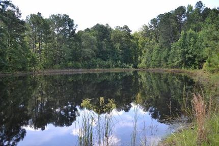 Residential Property in Warren County, Georgia