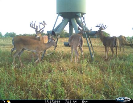 Recreational Property in Brown County, Texas