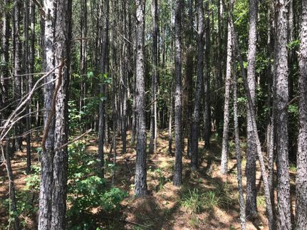 Farm Property in Fayette County, Alabama