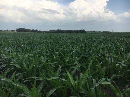 Farm Property in Saline County, Nebraska