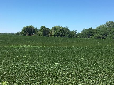 Recreational Property in Clarke County, Iowa