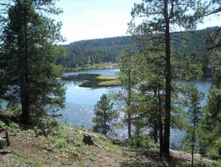Ranch Property in Archuleta County, Colorado