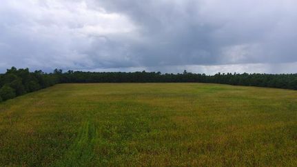 Hunting Land in Columbus County, North Carolina
