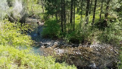 Property in Columbia County, Washington