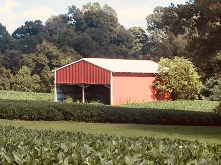Farm Property in Adair County, Kentucky