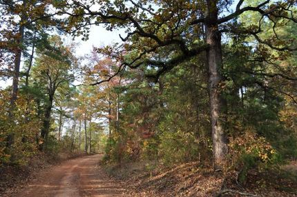 Horse Property in Marion County, Texas