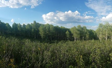 Farm Property in Utah County, Utah