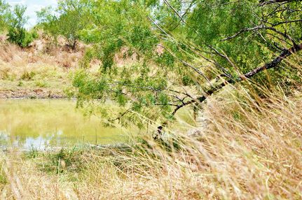 Recreational Property in La Salle County, Texas