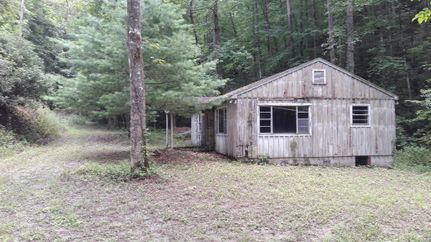 Timberland Property in Towns County, Georgia