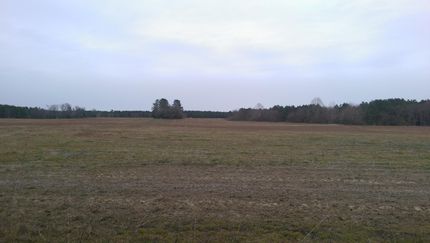 Farm Property in Sussex County, Virginia