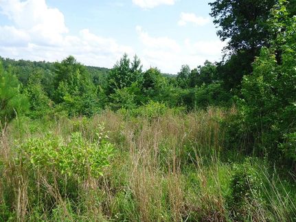 Horse Property in Twiggs County, Georgia