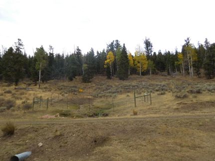 Farm Property in White Pine County, Nevada