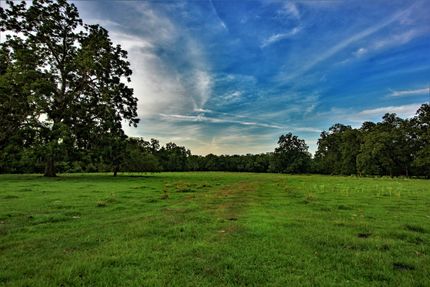 Riverfront Property in Wharton County, Texas