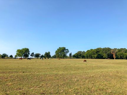 Farm Property in Franklin County, Texas
