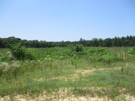 Farm Property in Dinwiddie County, Virginia