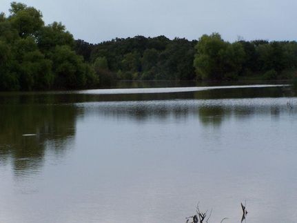 Farm Property in Young County, Texas