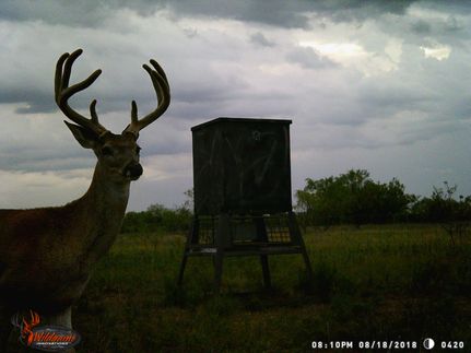 Property in Throckmorton County, Texas