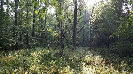Recreational Property in Decatur County, Indiana