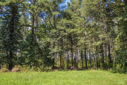 Hunting Land in Spartanburg County, South Carolina