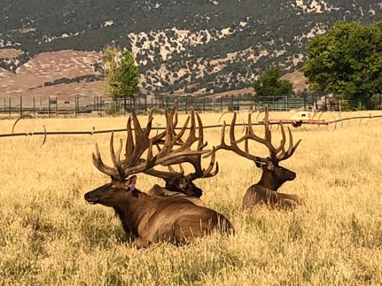 Residential Property in Sanpete County, Utah
