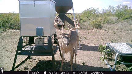 Farm Property in Duval County, Texas