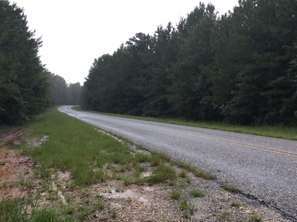 Hunting Land in Russell County, Alabama