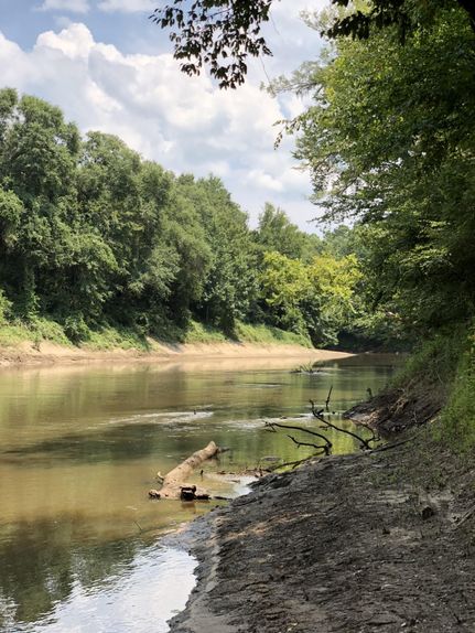 Farm Property in Covington County, Alabama