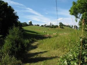 Farm Property in Augusta County, Virginia