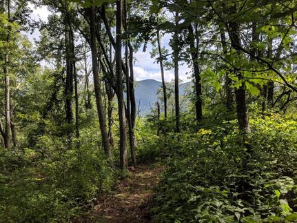 Property in Buncombe County, North Carolina