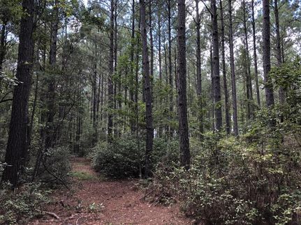 Ranch Property in Jasper County, South Carolina