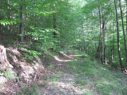 Farm Property in Tioga County, New York