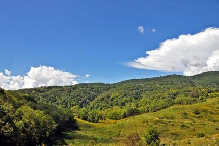 Timberland Property in Greenbrier County, West Virginia