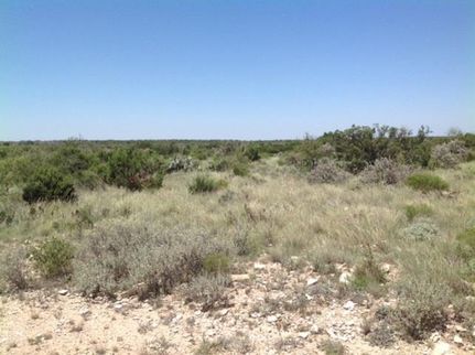 Farm Property in Terrell County, Texas