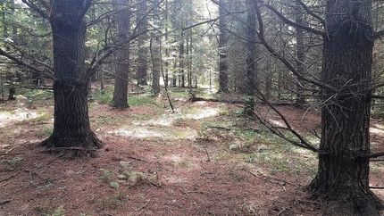 Recreational Property in Oneida County, Wisconsin