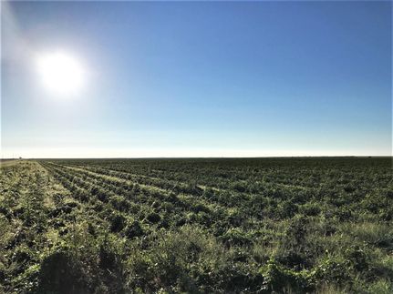 Farm Property in Haskell County, Texas
