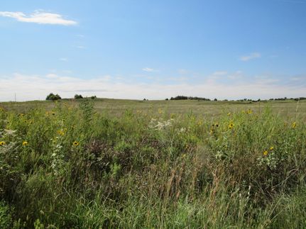 Farm Property in Kiowa County, Kansas