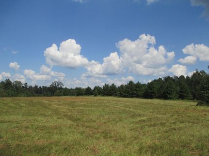 Farm Property in Russell County, Alabama