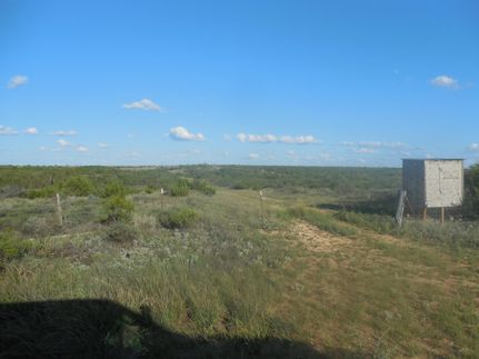 Farm Property in Mitchell County, Texas