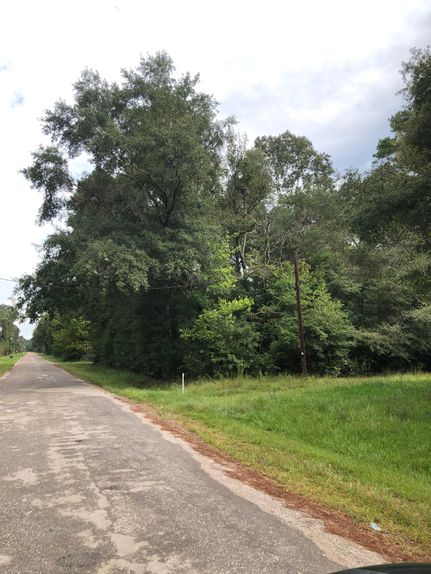 Undeveloped Land in San Jacinto County, Texas