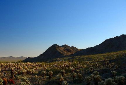 Farm Property in Imperial County, California