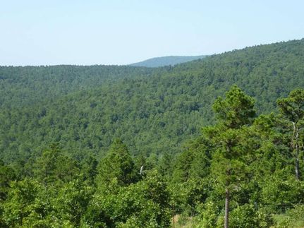 Undeveloped Land in Latimer County, Oklahoma